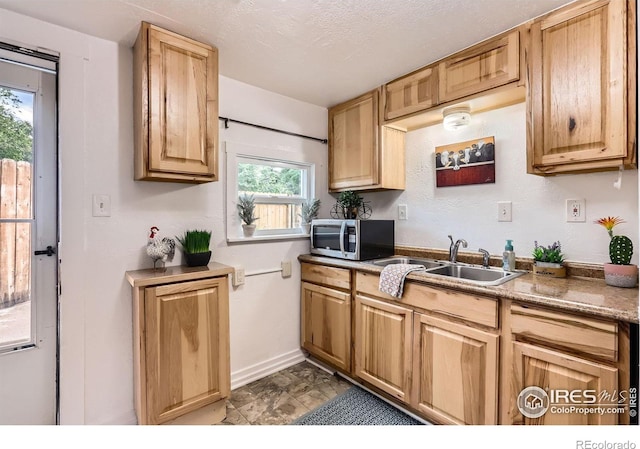 1127 W Mulberry St, Fort Collins, CO 80521 - photo 22