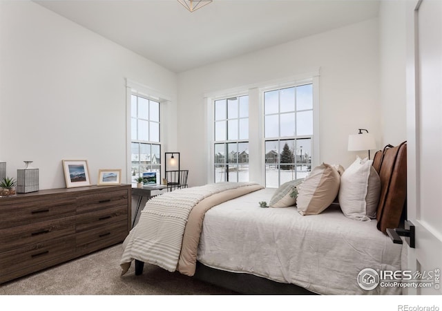 carpeted bedroom with a water view