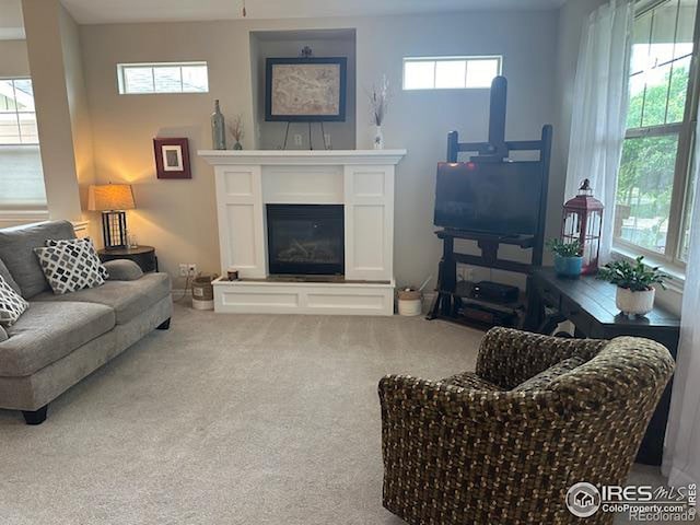 living room with a glass covered fireplace and carpet