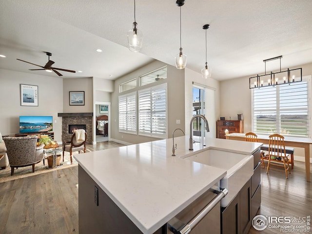 kitchen featuring a fireplace, a sink, stainless steel dishwasher, and wood finished floors