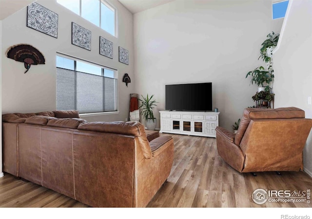 living room featuring hardwood / wood-style flooring and a towering ceiling