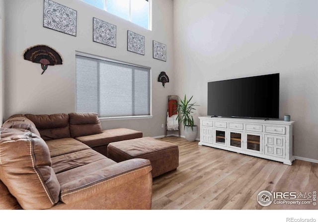 living room with a high ceiling and light hardwood / wood-style flooring