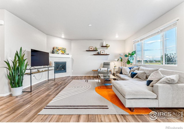 living room featuring hardwood / wood-style floors