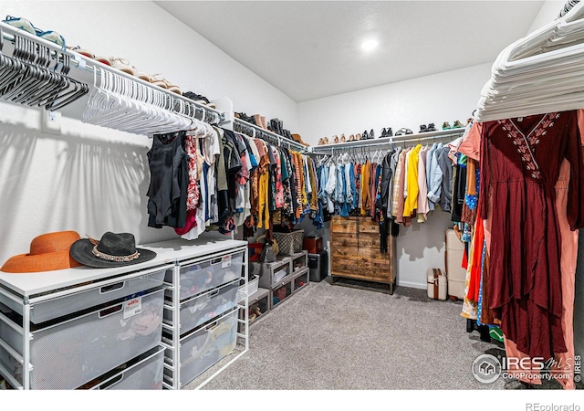 spacious closet featuring carpet floors