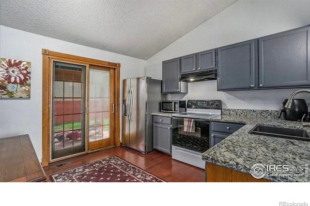 kitchen with sink, appliances with stainless steel finishes, dark stone counters, lofted ceiling, and dark hardwood / wood-style flooring