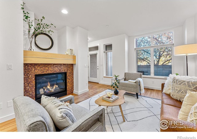 living room with a fireplace and light hardwood / wood-style floors