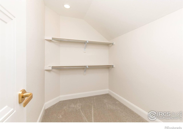 walk in closet featuring vaulted ceiling and carpet