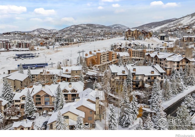 snowy aerial view featuring a mountain view