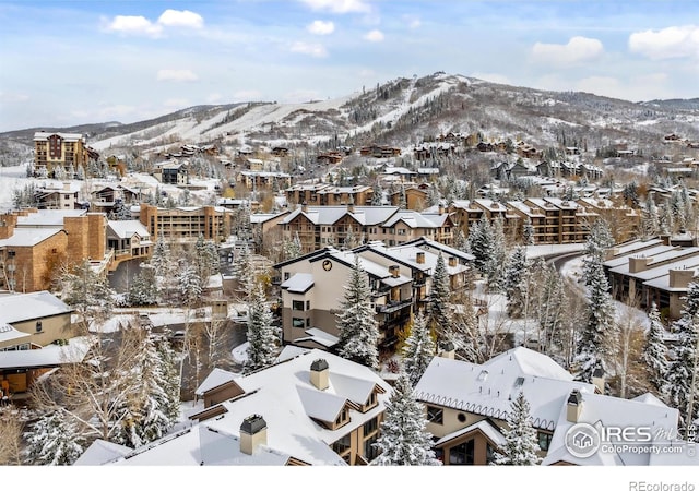 snowy aerial view with a mountain view