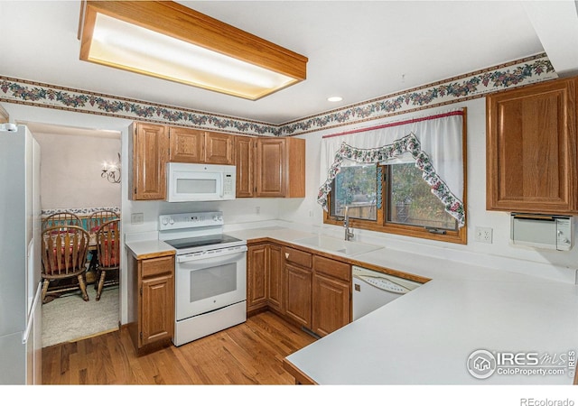 kitchen with light hardwood / wood-style flooring, sink, and white appliances