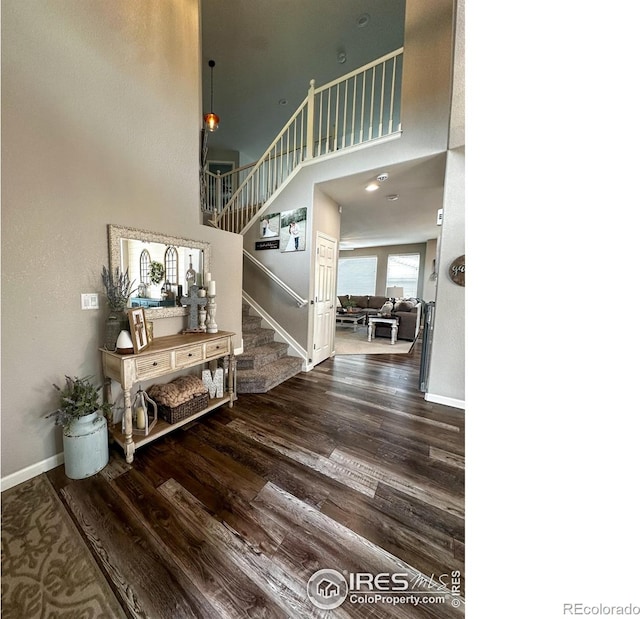 entryway featuring wood-type flooring and a high ceiling