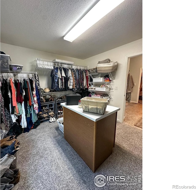 spacious closet featuring carpet floors