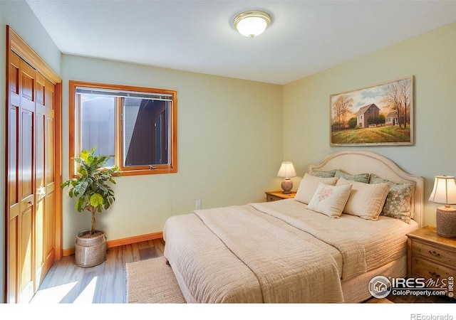 bedroom featuring hardwood / wood-style floors