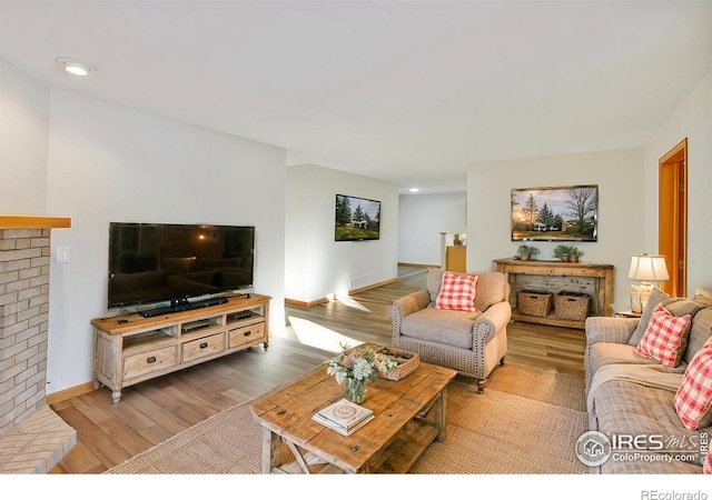 living room featuring a fireplace and light hardwood / wood-style flooring