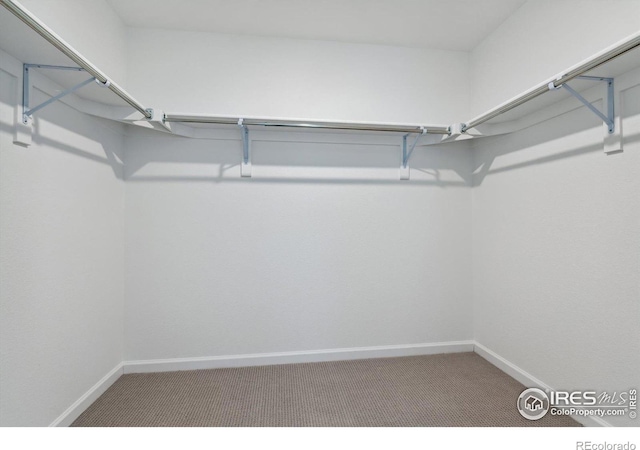 spacious closet with carpet flooring