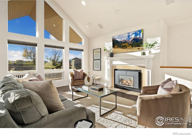 living room featuring wood-type flooring and high vaulted ceiling