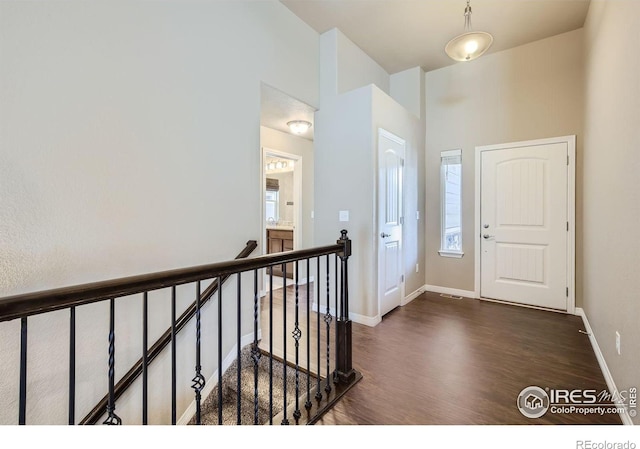 foyer entrance featuring dark wood-type flooring