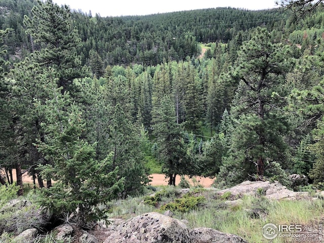 0 Cold Springs Dr, Nederland CO, 80466 land for sale