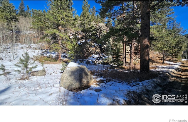 Listing photo 3 for 0 Cold Springs Dr, Nederland CO 80466