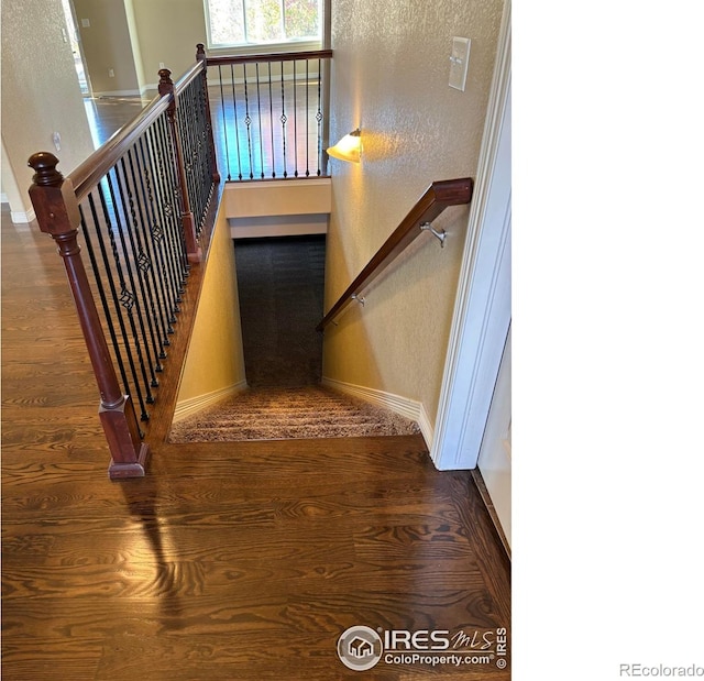 stairway featuring hardwood / wood-style floors