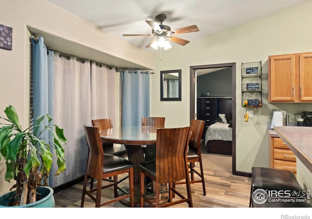 dining room with ceiling fan and light hardwood / wood-style flooring