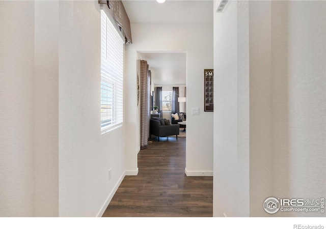 corridor with dark wood-type flooring