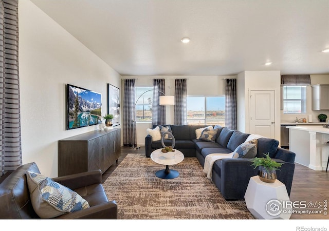 living room with dark hardwood / wood-style flooring, sink, and a wealth of natural light