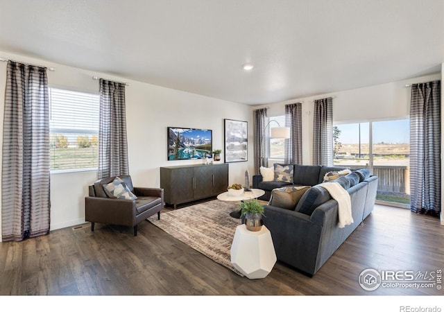 living room with dark hardwood / wood-style floors and a healthy amount of sunlight