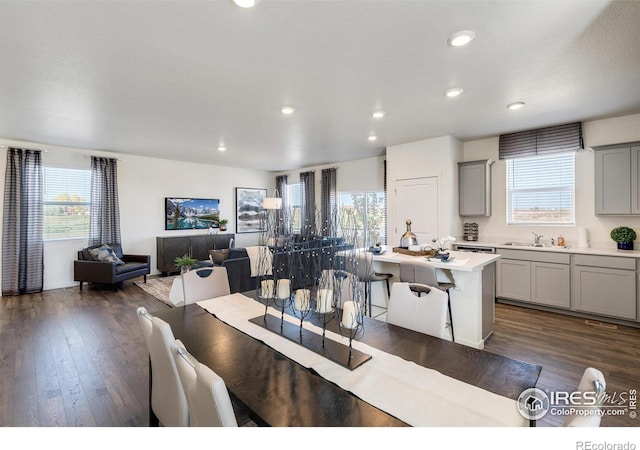 dining room with sink and dark hardwood / wood-style floors