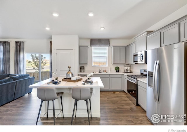 kitchen with a healthy amount of sunlight, sink, stainless steel appliances, and dark hardwood / wood-style floors