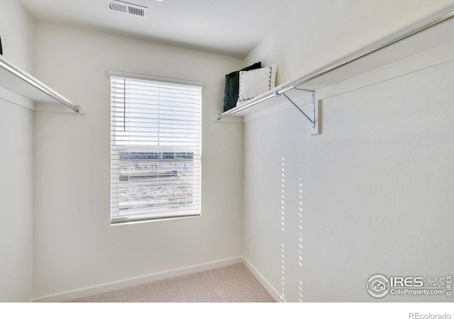 walk in closet featuring carpet