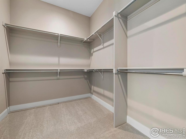 spacious closet featuring light carpet