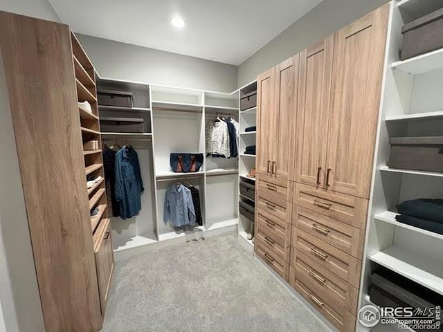 spacious closet with light colored carpet