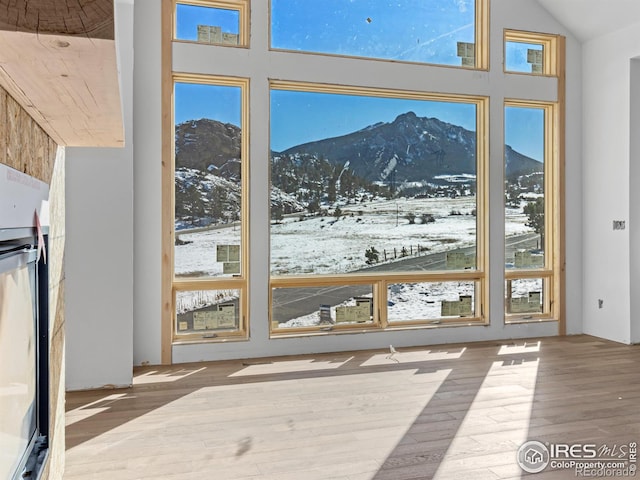 doorway with a mountain view, plenty of natural light, and light wood-type flooring