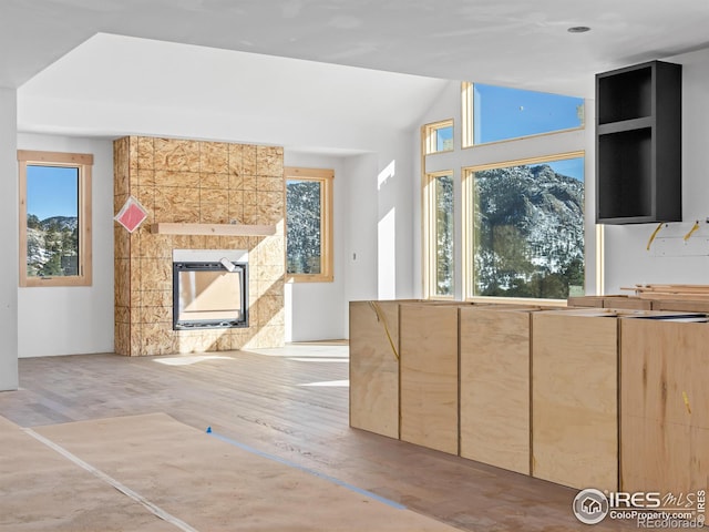 kitchen featuring a fireplace, light hardwood / wood-style floors, and lofted ceiling