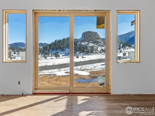 entryway with a mountain view and hardwood / wood-style floors