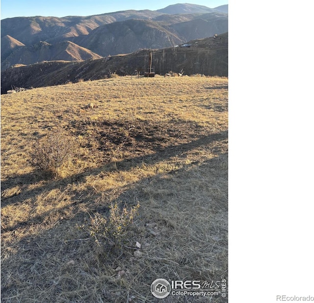 23 Canaan Mountain Ct, Livermore, CO 80536