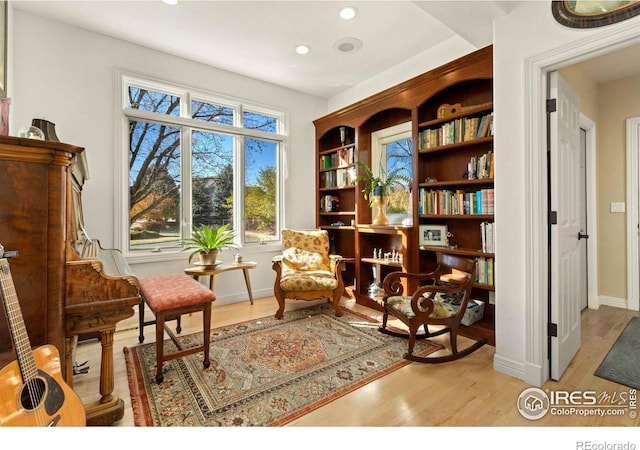 sitting room featuring light hardwood / wood-style flooring