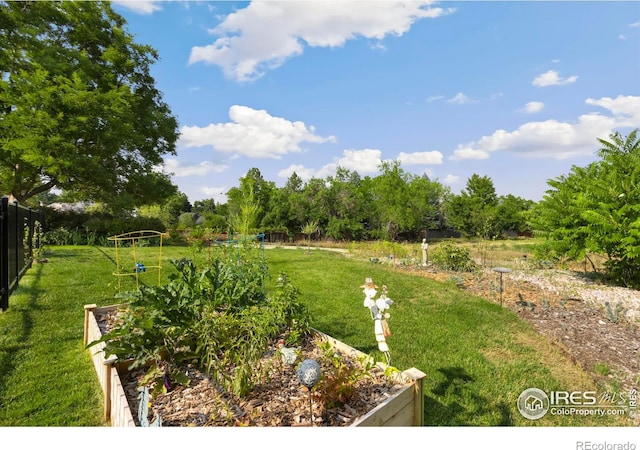 378 High Pointe Dr, Fort Collins, CO 80525 - view of yard featuring a garden