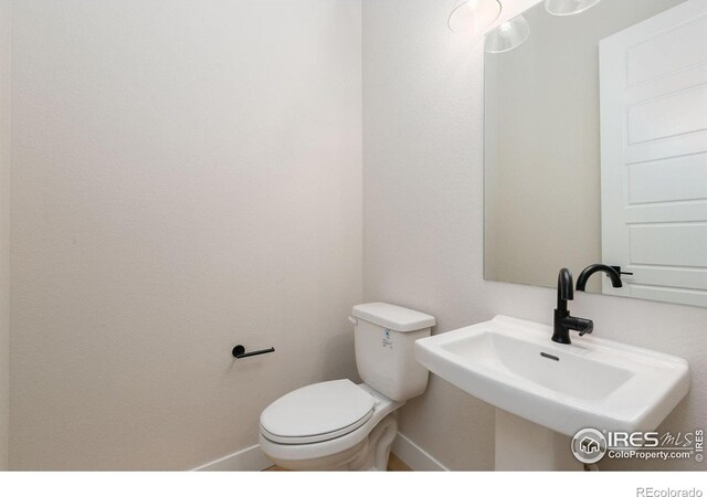 1719 Branching Canopy Dr, Windsor, CO 80550