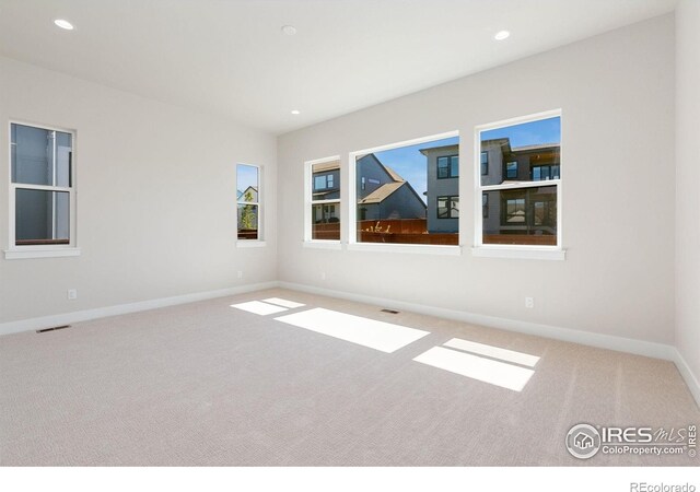 1719 Branching Canopy Dr, Windsor, CO 80550