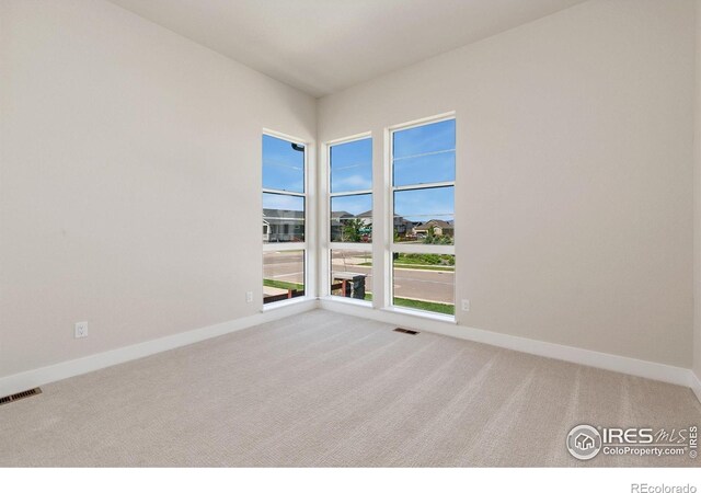 1719 Branching Canopy Dr, Windsor, CO 80550