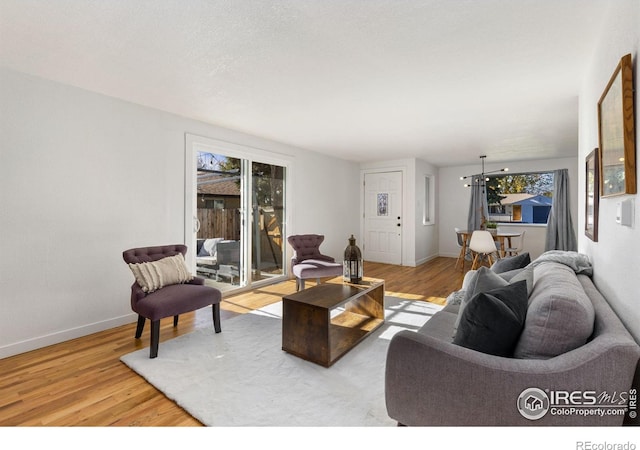 living room featuring light hardwood / wood-style flooring