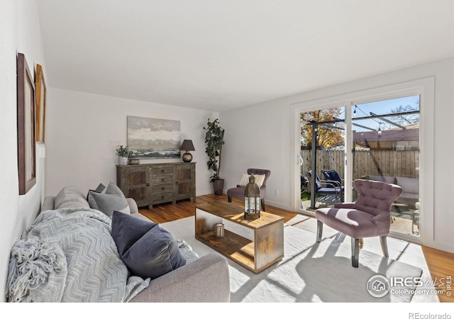 living room with wood-type flooring