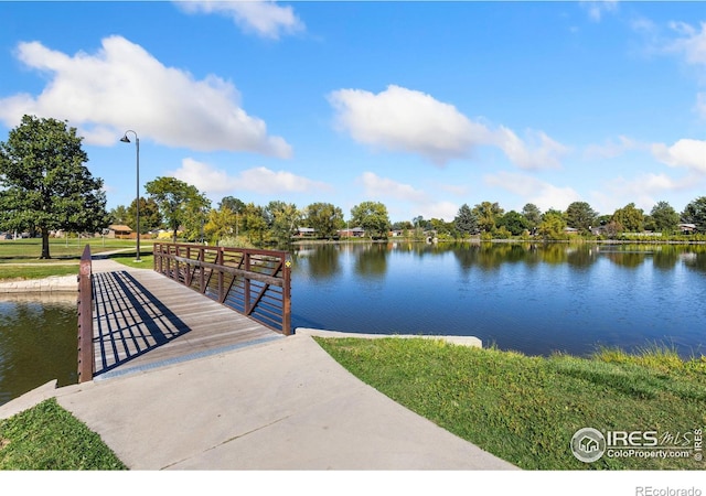 dock area with a water view