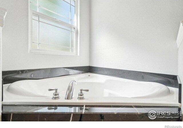 bathroom with a bathing tub