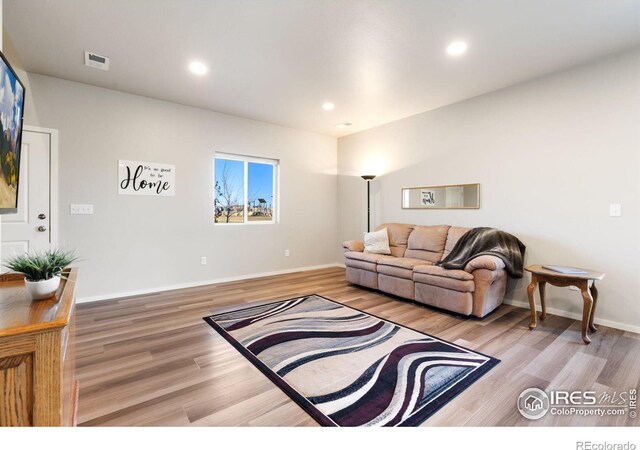 living room with hardwood / wood-style floors