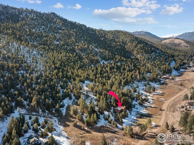 birds eye view of property with a mountain view