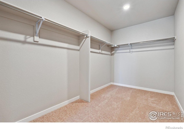 spacious closet featuring carpet flooring