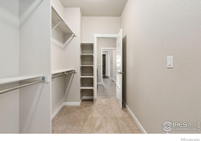 walk in closet with light carpet